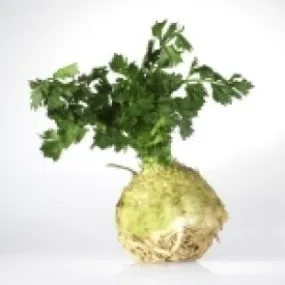 Celeriac - Giant Prague (Seeds)