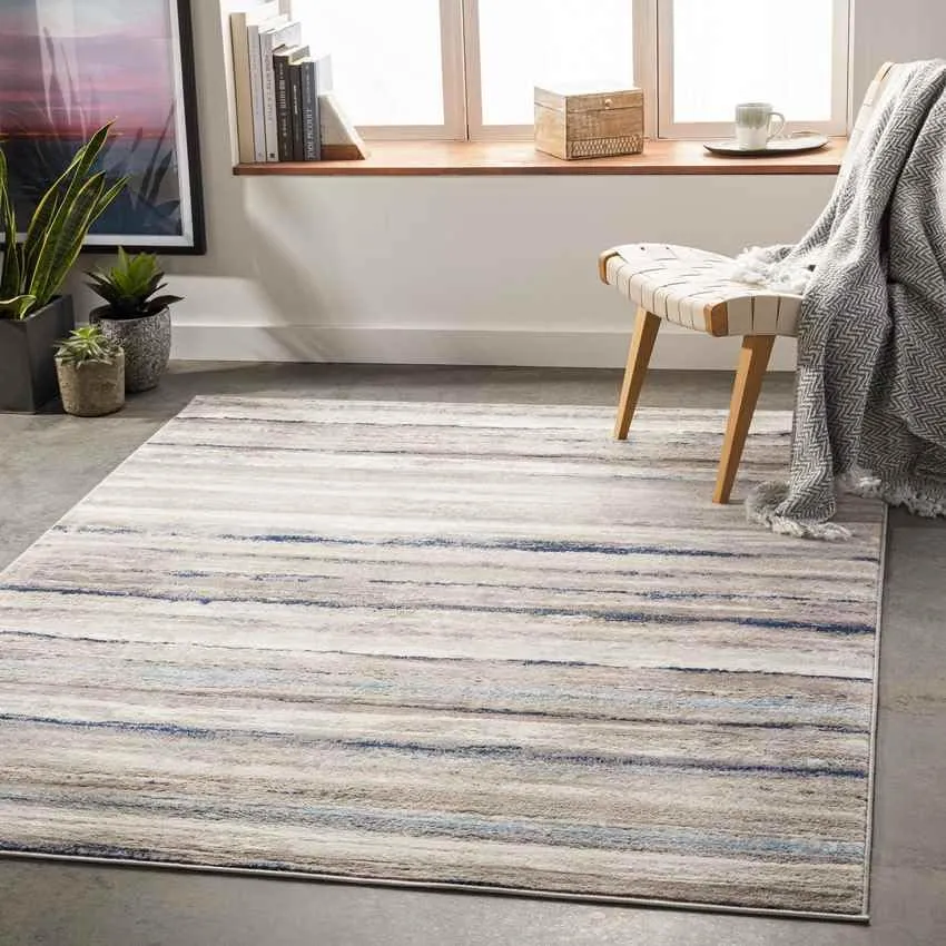 Ermerveen Modern Area Rug Carpet for Living Room Bedroom or Kitchen