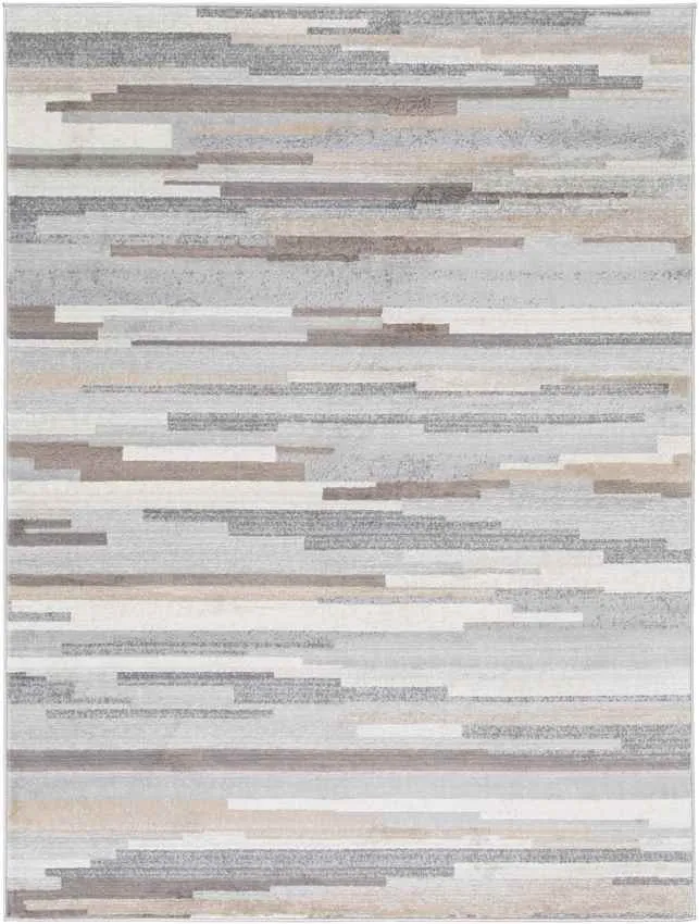 Orvelte Modern Gray Area Rug Carpet for Living Room Bedroom or Kitchen