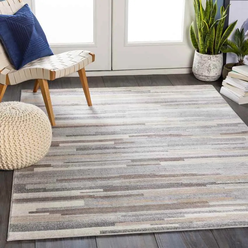 Orvelte Modern Gray Area Rug Carpet for Living Room Bedroom or Kitchen