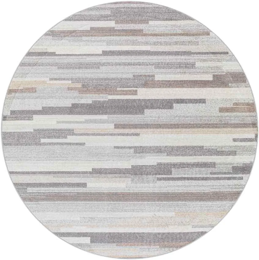 Orvelte Modern Gray Area Rug Carpet for Living Room Bedroom or Kitchen