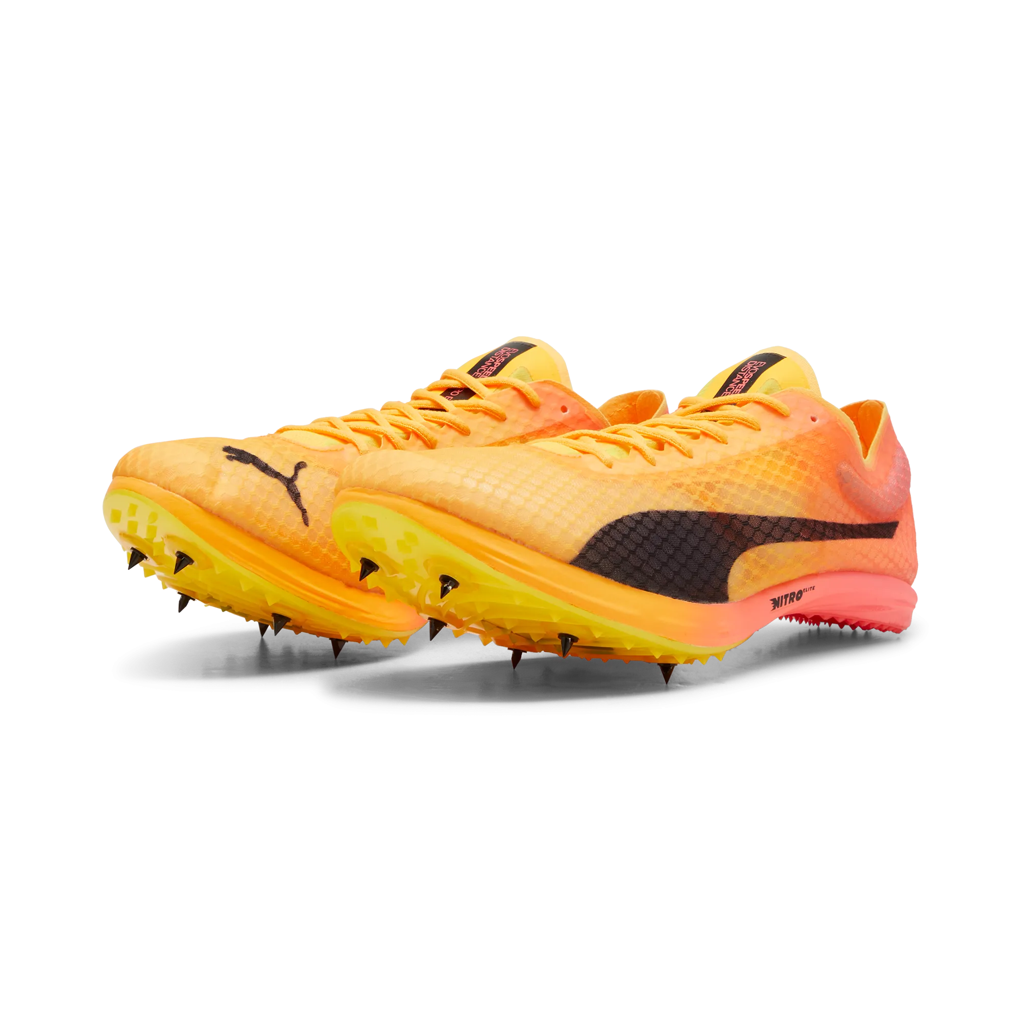 Puma evoSPEED Distance Elite  4 Spike